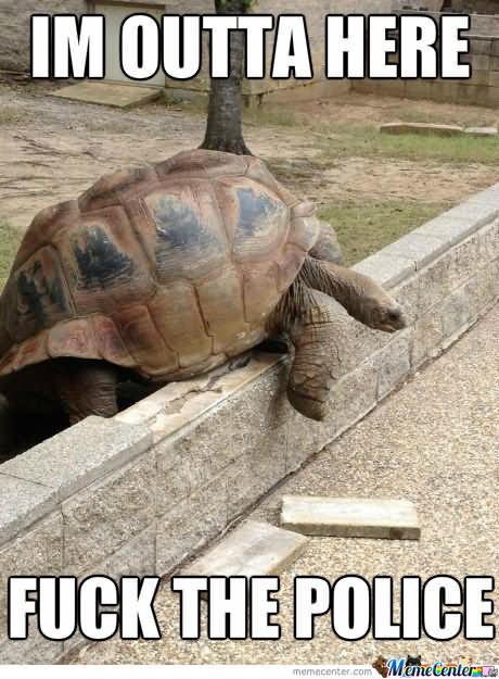 Funny Tortoise Meme I Am Outta Here Fuck The Police Picture
