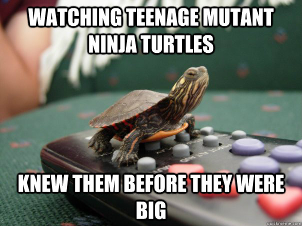 Funny Tortoise Meme Watching Teenage Mutant Ninja Turtles Image