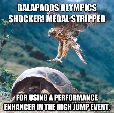 Galapagos Olympics Shocker Medal Stripped Funny Tortoise Meme Picture