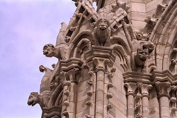 Gargoyles At Notre Dame de Paris