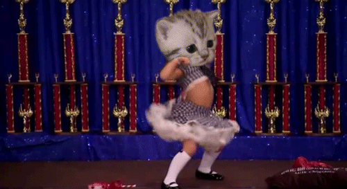 Girl With Cat Mask Funny Dancing Gif Image