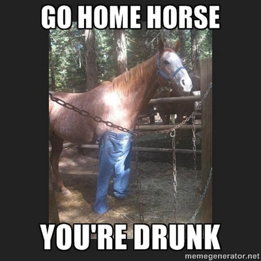 Go Home Horse You Are Drunk Funny Alcohol Meme Picture For Whatsapp