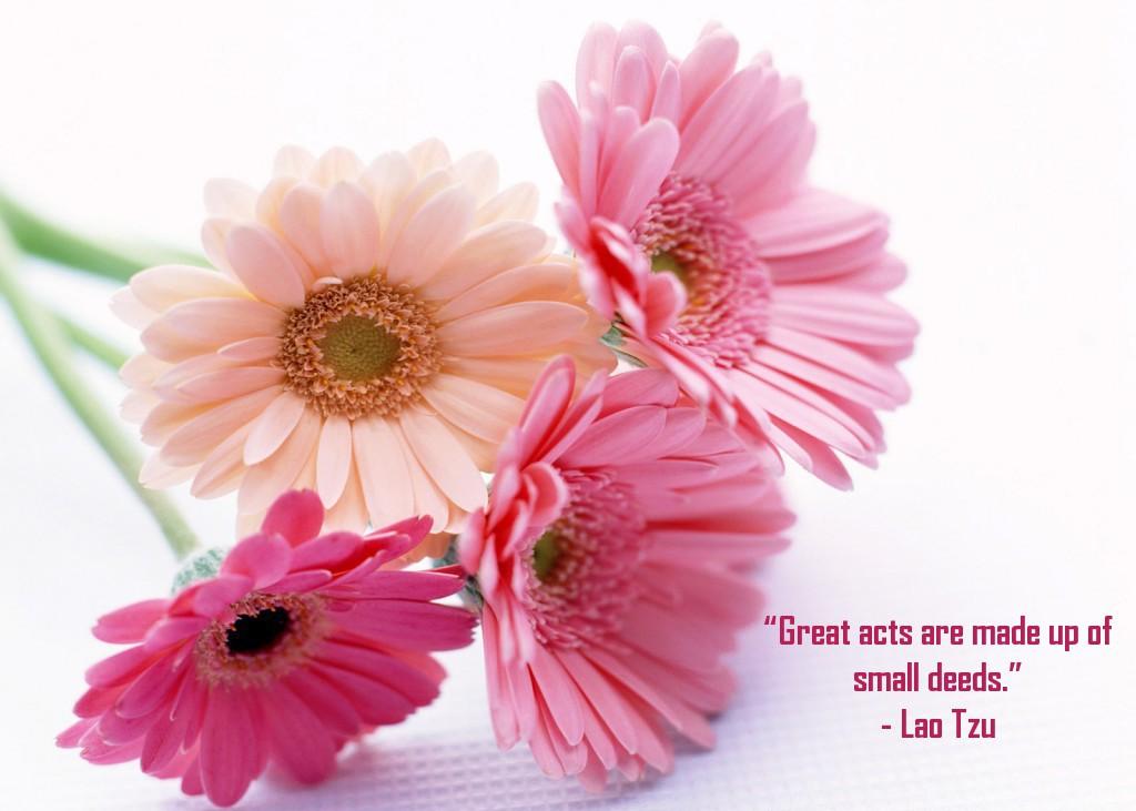 Great acts are made up of small deeds – Lao Tzu