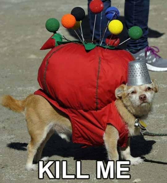 Halloween Funny Costume For Dog