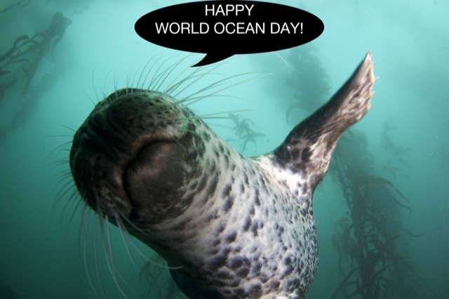 Happy World Oceans Day Mammal Picture
