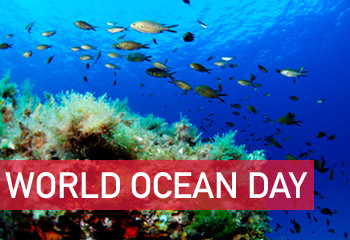 Happy World Oceans Day Poster