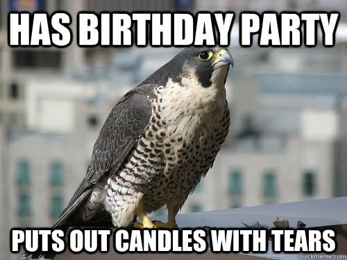 Has Birthday Party Puts Out Candles With Tears Funny Bird Meme Picture