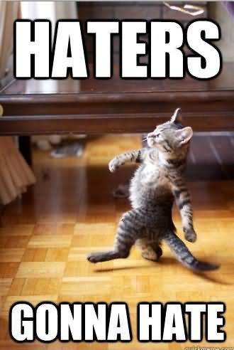Haters Gonna Hate Funny Cat Meme Image