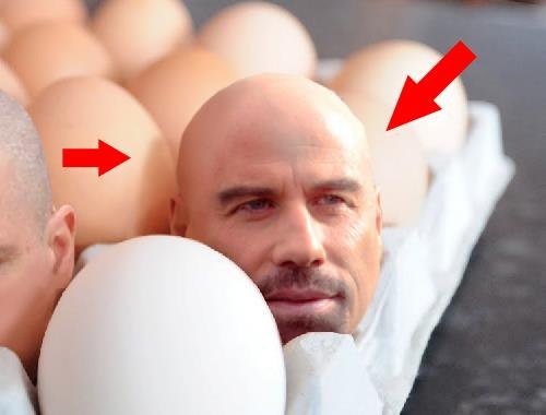 Head In Egg Tray Funny Photoshop Photo