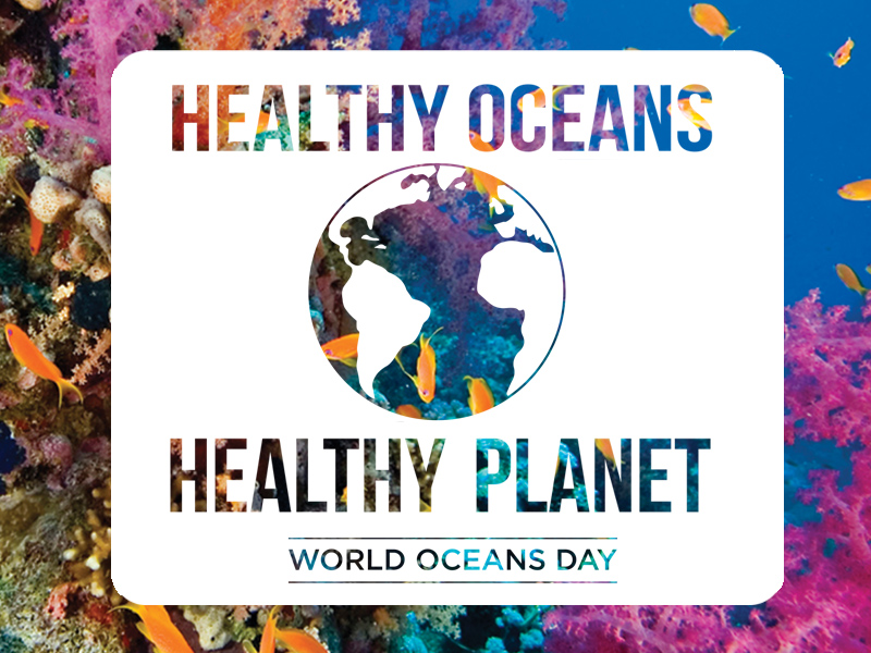 Healthy Oceans Healthy Planet World Oceans Day June 8th