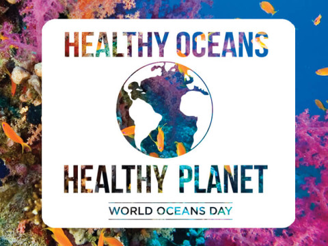 Healthy Oceans Healthy Planet World Oceans Day Poster