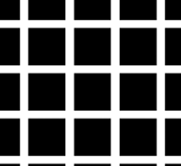 Hermann Grid Optical Illusion Picture