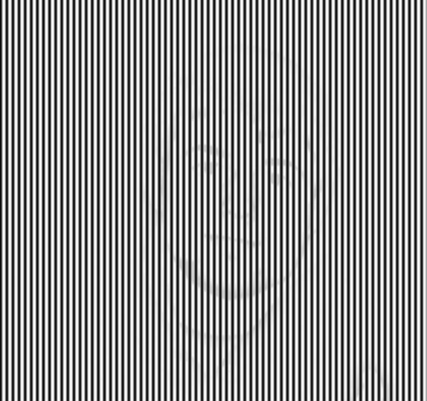 Hidden Picture Optical Illusion