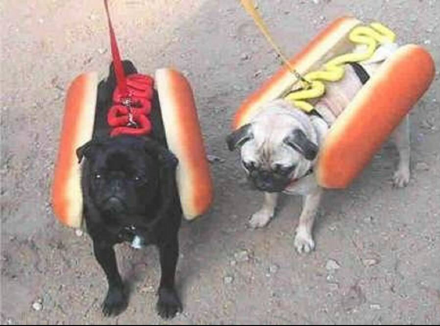 Hot Dog Halloween Costume For Puppies Funny Image