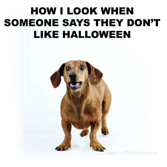How I Look When Someone Says They Don't Like Halloween Funny Meme Imag...