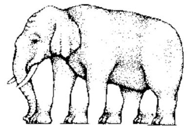 How Many Legs Elephant Optical Illusion Picture