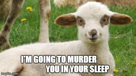 I Am Going To Murder You In Your Sleep Funny Meme Image