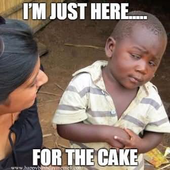 I Am Just Here For The Cake Funny Birthday Meme Image For Facebook