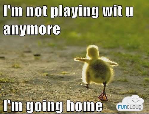 I Am Not Playing Wit U Anymore Funny Bird Meme Picture