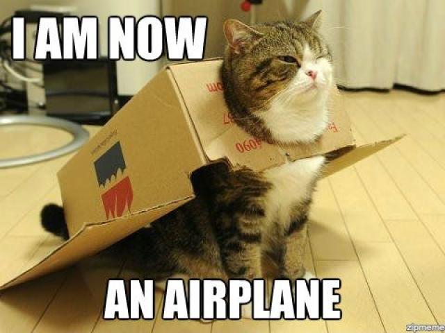 I Am Now An Airplane Funny Plane Meme Picture