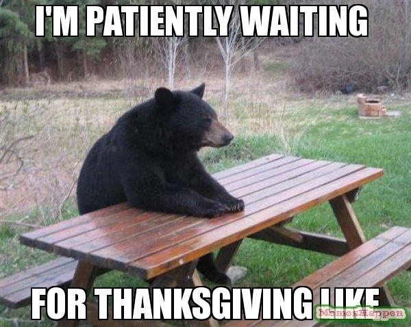 I Am Patiently Waiting For Thanksgiving Like Funny Meme Image