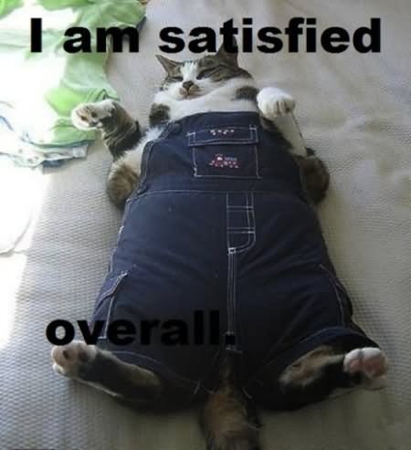 I Am Satisfied Does Funny Fat Cat Picture