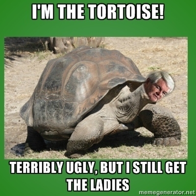 I Am The Tortoise Terribly Ugly But I Still The Ladies Funny Meme Image