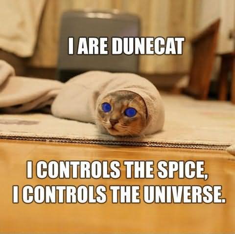 I Are Dunecat Funny Cat Meme Photo