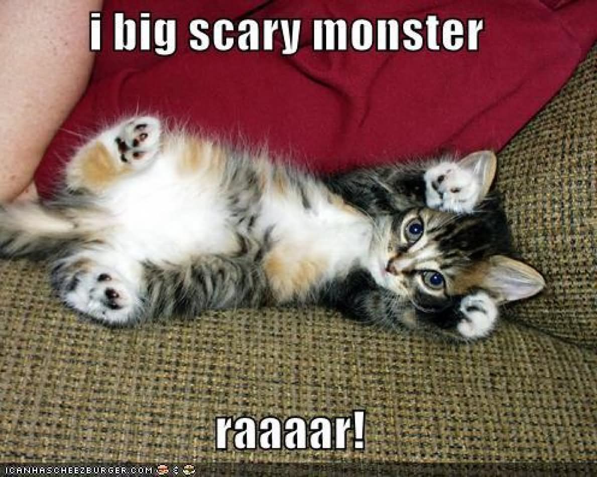 I Big Scary Monster Funny Cat Meme Image