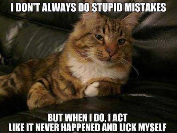 I Don't Always Do Stupid Mistakes Funny Cat Meme Picture