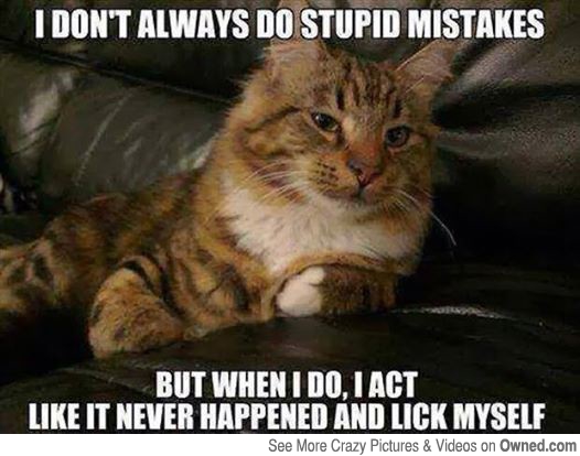 I Don't Always Do Stupid Mistakes Funny Weird Meme Image