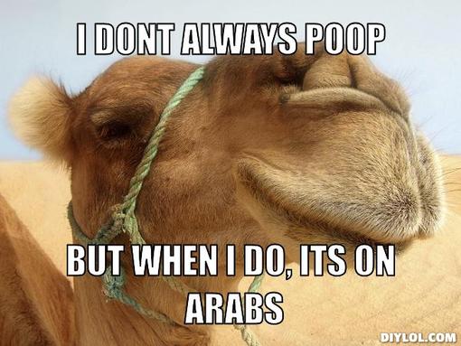 I Dont Always Poop But When I Do Its On Arabs Funny Camel Meme Photo