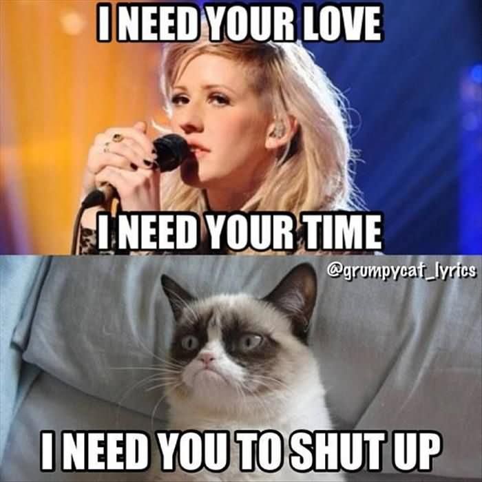 I Need You To Shut Up Funny Cat Meme Image