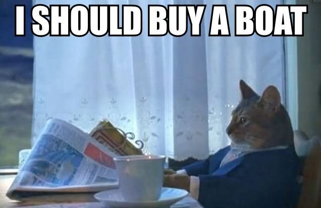 I Should Buy A Boat Funny Cat Meme Photo For Facebook