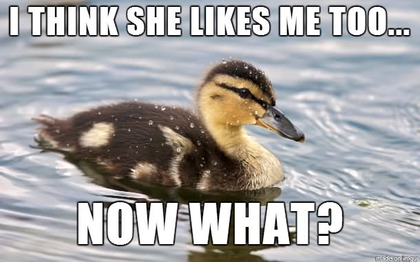 I Think She Likes Me Too Now What Funny Weird Meme Image For Facebook