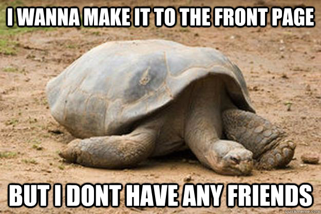 I Wanna Make It To The Front Page But I Dont Have Any Friends Funny Tortoise Meme Picture