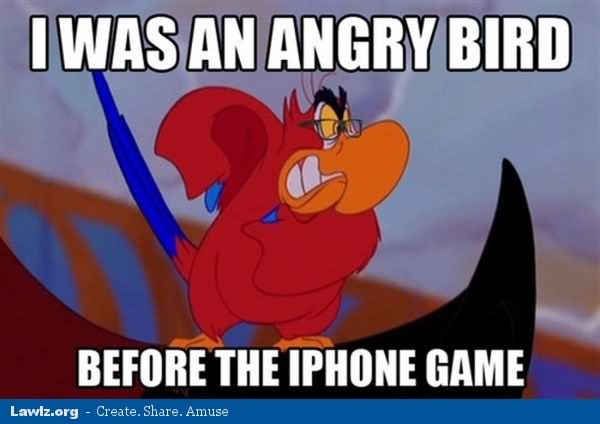 I Was An Angry Bird Before The Iphone Game Funny Bird Meme Picture