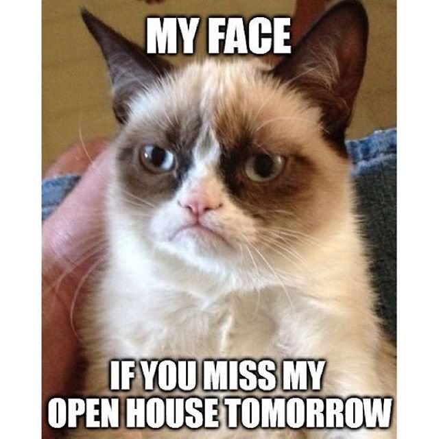 If You Miss My Open House Tomorrow Funny Cat Meme Image