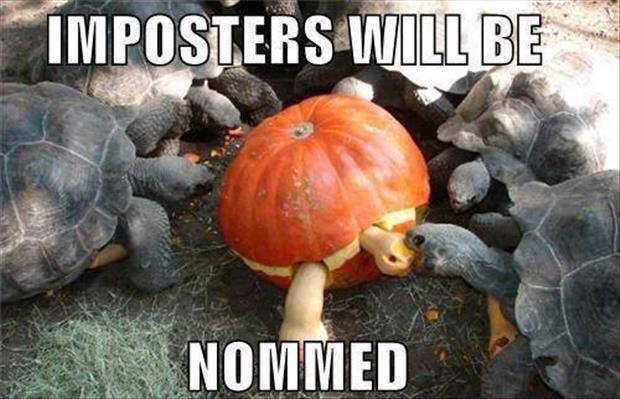 Imposters Will Be Nommed Funny Tortoise Meme Picture