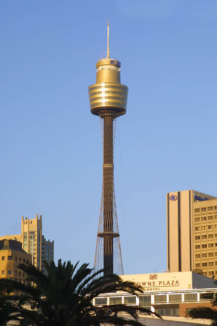 Incredible View Of Sydney Tower