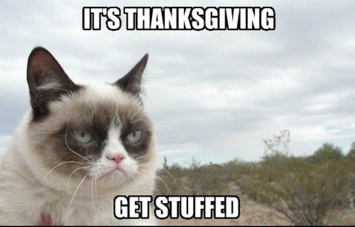 It's Thanksgiving Get Stuffed Funny Meme Image