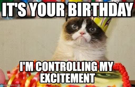 20 Very Funny Birthday Animal Pictures And Images