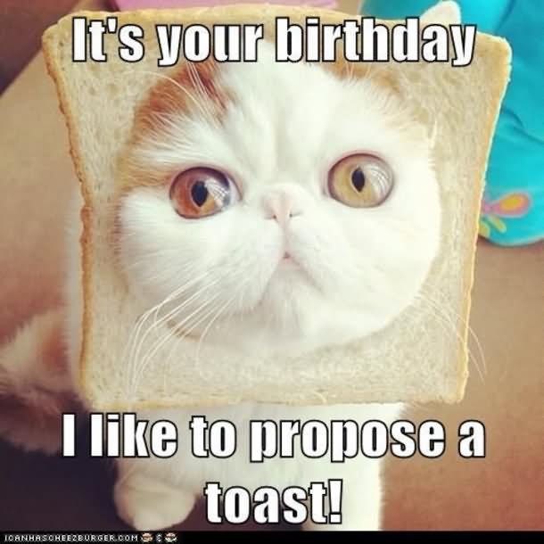 It's Your Birthday I Like To Propose Toast Funny Birthday Meme Image