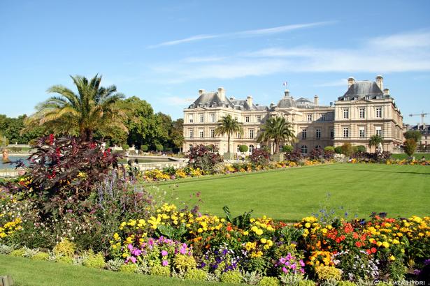 Jardin du Luxembourg Garden View