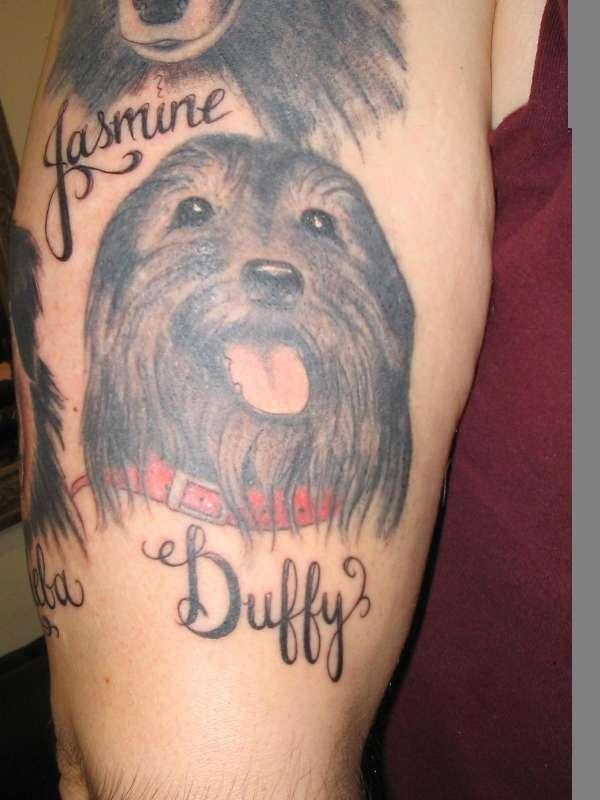 Jasmine Duffy - Memorial Dog Face Tattoo On Half Sleeve