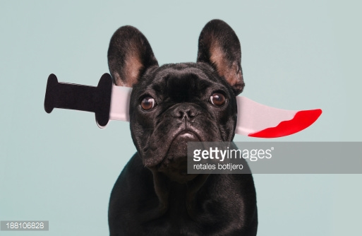 Knife Crossed Head Funny Halloween Dog Image