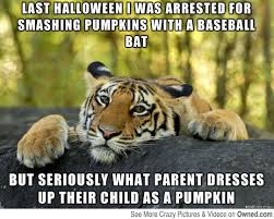 Last Halloween I Was Arrested For Smashing Pumpkins With A Baseball Bat Funny Meme Image