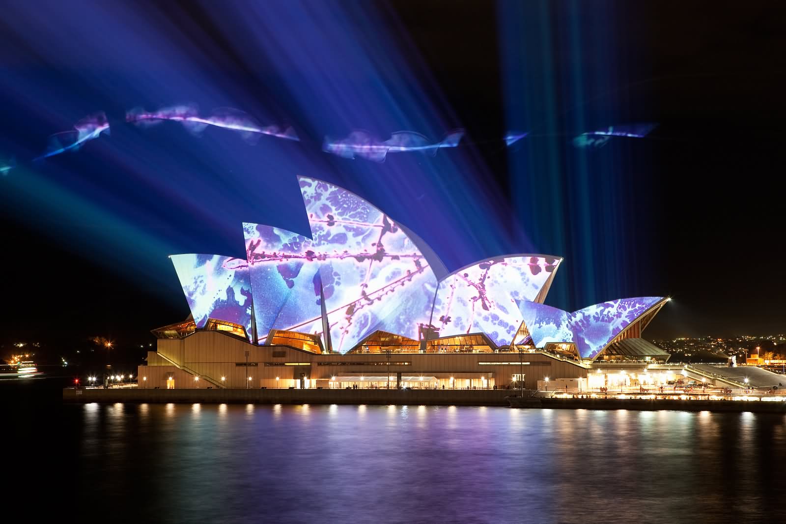 Lighting Decoration At Sydney Opera House Night View