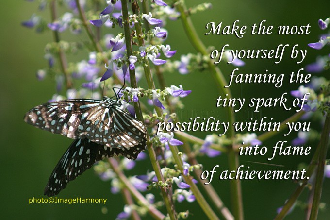 Make the most of yourself by fanning the tiny, inner sparks of possibility into flames of achievement. - Golda Meir