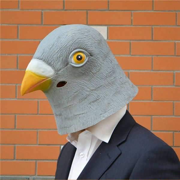 Man With Bird Mask Funny Picture For Whatsapp